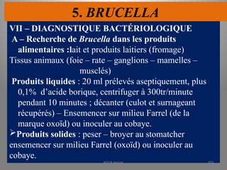 5. BRUCELLA
VII – DIAGNOSTIQUE BACTÉRIOLOGIQUE
A – Recherche de Brucella dans les produits
alimentaires :lait et produits laitiers (fromage)
Tissus animaux (foie – rate – ganglions – mamelles –
musclés)
Produits liquides : 20 ml prélevés aseptiquement, plus
0,1% d’acide borique, centrifuger à 300tr/minute
pendant 10 minutes ; décanter (culot et surnageant
récupérés) – Ensemencer sur milieu Farrel (de la
marque oxoïd) ou inoculer au cobaye.
Produits solides : peser – broyer au stomatcher
ensemencer sur milieu Farrel (oxoïd) ou inoculer au
cobaye.
KOUA Amian 103
 