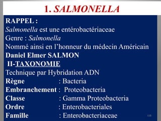 1. SALMONELLA
RAPPEL :
Salmonella est une entérobactériaceae
Genre : Salmonella
Nommé ainsi en l’honneur du médecin Américain
Daniel Elmer SALMON
II-TAXONOMIE
Technique par Hybridation ADN
Règne : Bacteria
Embranchement : Proteobacteria
Classe : Gamma Proteobacteria
Ordre : Enterobacteriales
Famille : Enterobacteriaceae
KOUA Amian 118
 