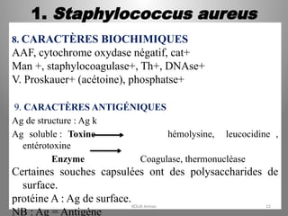 1. Staphylococcus aureus
8. CARACTÈRES BIOCHIMIQUES
AAF, cytochrome oxydase négatif, cat+
Man +, staphylocoagulase+, Th+, DNAse+
V. Proskauer+ (acétoine), phosphatse+
9. CARACTÈRES ANTIGÉNIQUES
Ag de structure : Ag k
Ag soluble : Toxine hémolysine, leucocidine ,
entérotoxine
Enzyme Coagulase, thermonucléase
Certaines souches capsulées ont des polysaccharides de
surface.
protéine A : Ag de surface.
NB : Ag = Antigène
KOUA Amian 12
 