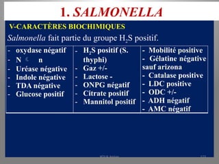 1. SALMONELLA
V-CARACTÈRES BIOCHIMIQUES
Salmonella fait partie du groupe H2S positif.
- oxydase négatif
- N  n
- Uréase négative
- Indole négative
- TDA négative
- Glucose positif
- H2S positif (S.
thyphi)
- Gaz +/-
- Lactose -
- ONPG négatif
- Citrate positif
- Mannitol positif
- Mobilité positive
- Gélatine négative
sauf arizona
- Catalase positive
- LDC positive
- ODC +/-
- ADH négatif
- AMC négatif
KOUA Amian 123
 