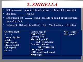 2. SHIGELLA
• Gélose colonie S (virulente) ou colonie R (avirulente)
• Bouillon Trouble
• Enrichissement aucun (pas de milieu d’enrichissement
pour Shigella).
• Isolement : Hektoen (meilleur) – SS – Mac Conkey – Drigalski
Oxydase négatif
N  n
Uréase négative
Indole - /+
TDA négatif
Glucose positif
H2S négatif
Gaz +/-
Lactose négatif
ONPG Négatif
Citrate positif
Mannitol positif
sauf dysenteriae
Catalase positive
sauf dysenteriae
LDC négatif
ODC négatif sauf sonnei
ADH négatif
AMC négatif
RM positif
KOUA Amian 133
 
