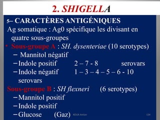 2. SHIGELLA
5– CARACTÈRES ANTIGÉNIQUES
Ag somatique : Ag0 spécifique les divisant en
quatre sous-groupes
• Sous-groupe A : SH. dysenteriae (10 serotypes)
– Mannitol négatif
–Indole positif 2 – 7 - 8 serovars
–Indole négatif 1 – 3 – 4 – 5 – 6 - 10
serovars
Sous-groupe B : SH flexneri (6 serotypes)
–Mannitol positif
–Indole positif
–Glucose (Gaz) KOUA Amian 134
 