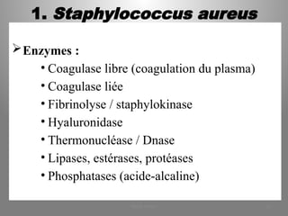 1. Staphylococcus aureus
Enzymes :
• Coagulase libre (coagulation du plasma)
• Coagulase liée
• Fibrinolyse / staphylokinase
• Hyaluronidase
• Thermonucléase / Dnase
• Lipases, estérases, protéases
• Phosphatases (acide-alcaline)
KOUA Amian 14
 