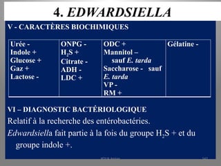 4. EDWARDSIELLA
V - CARACTÈRES BIOCHIMIQUES
VI – DIAGNOSTIC BACTÉRIOLOGIQUE
Relatif à la recherche des entérobactéries.
Edwardsiella fait partie à la fois du groupe H2S + et du
groupe indole +.
Urée -
Indole +
Glucose +
Gaz +
Lactose -
ONPG -
H2S +
Citrate -
ADH -
LDC +
ODC +
Mannitol –
sauf E. tarda
Saccharose - sauf
E. tarda
VP -
RM +
Gélatine -
KOUA Amian 142
 