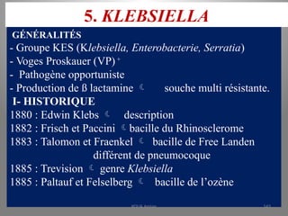 5. KLEBSIELLA
GÉNÉRALITÉS
- Groupe KES (Klebsiella, Enterobacterie, Serratia)
- Voges Proskauer (VP) +
- Pathogène opportuniste
- Production de ß lactamine  souche multi résistante.
I- HISTORIQUE
1880 : Edwin Klebs  description
1882 : Frisch et Paccini bacille du Rhinosclerome
1883 : Talomon et Fraenkel  bacille de Free Landen
différent de pneumocoque
1885 : Trevision  genre Klebsiella
1885 : Paltauf et Felselberg  bacille de l’ozène
KOUA Amian 143
 