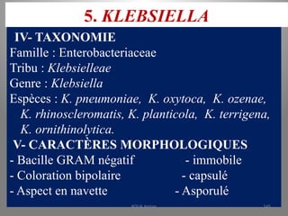 5. KLEBSIELLA
IV- TAXONOMIE
Famille : Enterobacteriaceae
Tribu : Klebsielleae
Genre : Klebsiella
Espèces : K. pneumoniae, K. oxytoca, K. ozenae,
K. rhinoscleromatis, K. planticola, K. terrigena,
K. ornithinolytica.
V- CARACTÈRES MORPHOLOGIQUES
- Bacille GRAM négatif - immobile
- Coloration bipolaire - capsulé
- Aspect en navette - Asporulé
KOUA Amian 145
 
