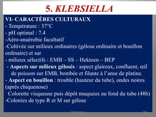 5. KLEBSIELLA
VI- CARACTÈRES CULTURAUX
- Température : 37°C
- pH optimal : 7.4
-Aéro-anaérobie facultatif
-Cultivée sur milieux ordinaires (gélose ordinaire et bouillon
ordinaire) et sur
- milieux sélectifs : EMB – SS – Hektoen – BEP
- Aspects sur milieux gélosés : aspect glaireux, confluent, œil
de poisson sur EMB, bombée et filante à l’anse de platine.
- Aspect en bouillon : trouble (hauteur du tube), ondes noires
(après chiquenose)
Colorette visqueuse puis dépôt muqueux au fond du tube (48h)
-Colonies de type R et M sur gélose
KOUA Amian 146
 