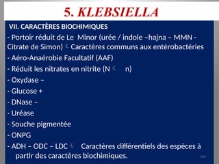 5. KLEBSIELLA
VII. CARACTÈRES BIOCHIMIQUES
- Portoir réduit de Le Minor (urée / indole –hajna – MMN -
Citrate de Simon)Caractères communs aux entérobactéries
- Aéro-Anaérobie Facultatif (AAF)
- Réduit les nitrates en nitrite (N n)
- Oxydase –
- Glucose +
- DNase –
- Uréase
- Souche pigmentée
- ONPG
- ADH – ODC – LDC Caractères différentiels des espèces à
partir des caractères biochimiques.
KOUA Amian 147
 