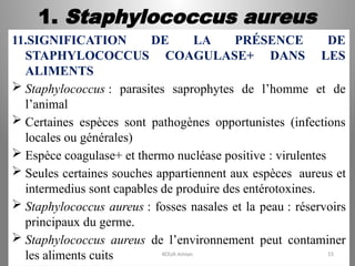 1. Staphylococcus aureus
11.SIGNIFICATION DE LA PRÉSENCE DE
STAPHYLOCOCCUS COAGULASE+ DANS LES
ALIMENTS
 Staphylococcus : parasites saprophytes de l’homme et de
l’animal
 Certaines espèces sont pathogènes opportunistes (infections
locales ou générales)
 Espèce coagulase+ et thermo nucléase positive : virulentes
 Seules certaines souches appartiennent aux espèces aureus et
intermedius sont capables de produire des entérotoxines.
 Staphylococcus aureus : fosses nasales et la peau : réservoirs
principaux du germe.
 Staphylococcus aureus de l’environnement peut contaminer
les aliments cuits KOUA Amian 15
 