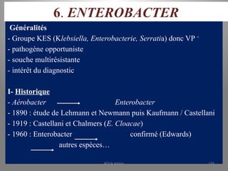 6. ENTEROBACTER
Généralités
- Groupe KES (Klebsiella, Enterobacterie, Serratia) donc VP +
- pathogène opportuniste
- souche multirésistante
- intérêt du diagnostic
I- Historique
- Aérobacter Enterobacter
- 1890 : étude de Lehmann et Newmann puis Kaufmann / Castellani
- 1919 : Castellani et Chalmers (E. Cloacae)
- 1960 : Enterobacter confirmé (Edwards)
autres espèces…
KOUA Amian 150
 