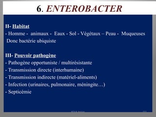 6. ENTEROBACTER
II- Habitat
- Homme - animaux - Eaux - Sol - Végétaux – Peau - Muqueuses
Donc bactérie ubiquiste
III- Pouvoir pathogène
- Pathogène opportuniste / multirésistante
- Transmission directe (interhumaine)
- Transmission indirecte (matériel-aliments)
- Infection (urinaires, pulmonaire, méningite…)
- Septicémie
KOUA Amian 151
 