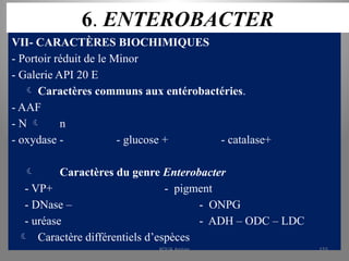 6. ENTEROBACTER
VII- CARACTÈRES BIOCHIMIQUES
- Portoir réduit de le Minor
- Galerie API 20 E
 Caractères communs aux entérobactéries.
- AAF
- N  n
- oxydase - - glucose + - catalase+
 Caractères du genre Enterobacter
- VP+ - pigment
- DNase – - ONPG
- uréase - ADH – ODC – LDC
 Caractère différentiels d’espèces
KOUA Amian 155
 