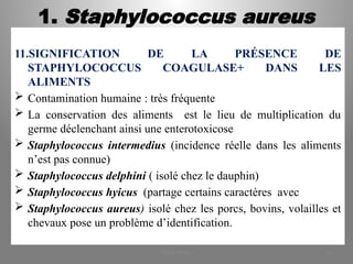 1. Staphylococcus aureus
11.SIGNIFICATION DE LA PRÉSENCE DE
STAPHYLOCOCCUS COAGULASE+ DANS LES
ALIMENTS
 Contamination humaine : très fréquente
 La conservation des aliments est le lieu de multiplication du
germe déclenchant ainsi une enterotoxicose
 Staphylococcus intermedius (incidence réelle dans les aliments
n’est pas connue)
 Staphylococcus delphini ( isolé chez le dauphin)
 Staphylococcus hyicus (partage certains caractères avec
 Staphylococcus aureus) isolé chez les porcs, bovins, volailles et
chevaux pose un problème d’identification.
KOUA Amian 16
 