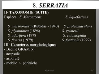 8. SERRATIA
II- TAXONOMIE (SUITE)
Espèces : S. Marcescens S. liquefaciens
S. marinorubra (Rubidae - 1940) S. proteamaculans
S. plymuthica (1896) S. grimesii
S. adorifera (1978 S. entomophila
S. ficaria (1979) S. fonticola (1979)
III- Caractères morphologiques
- Bacille GRAM (-)
- acapsulé
- asporulé
- mobile  péritriche
KOUA Amian 162
 