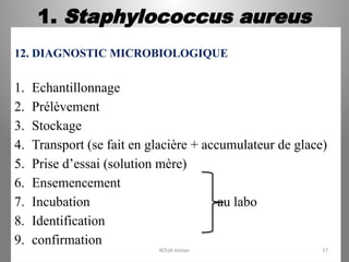 1. Staphylococcus aureus
12. DIAGNOSTIC MICROBIOLOGIQUE
1. Echantillonnage
2. Prélèvement
3. Stockage
4. Transport (se fait en glacière + accumulateur de glace)
5. Prise d’essai (solution mère)
6. Ensemencement
7. Incubation au labo
8. Identification
9. confirmation
KOUA Amian 17
 