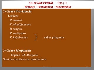 10. GENRE PROTAE TDA (+)
Proteus – Providencia – Morganella
2- Genre Providencia
Espèces
P. stuartii
P .alcalifacienne
P. rettgeri
P. rustigianii
P. heimbachae selles pingouins
3- Genre Morganella
Espèce : M. Morganii
Sont des bactéries de surinfections
KOUA Amian 179
 