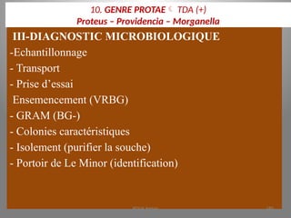 10. GENRE PROTAE TDA (+)
Proteus – Providencia – Morganella
III-DIAGNOSTIC MICROBIOLOGIQUE
-Echantillonnage
- Transport
- Prise d’essai
Ensemencement (VRBG)
- GRAM (BG-)
- Colonies caractéristiques
- Isolement (purifier la souche)
- Portoir de Le Minor (identification)
KOUA Amian 180
 