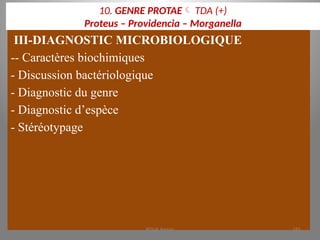 10. GENRE PROTAE TDA (+)
Proteus – Providencia – Morganella
III-DIAGNOSTIC MICROBIOLOGIQUE
-- Caractères biochimiques
- Discussion bactériologique
- Diagnostic du genre
- Diagnostic d’espèce
- Stéréotypage
KOUA Amian 181
 
