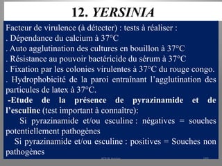 12. YERSINIA
Facteur de virulence (à détecter) : tests à réaliser :
. Dépendance du calcium à 37°C
. Auto agglutination des cultures en bouillon à 37°C
. Résistance au pouvoir bactéricide du sérum à 37°C
. Fixation par les colonies virulentes à 37°C du rouge congo.
. Hydrophobicité de la paroi entraînant l’agglutination des
particules de latex à 37°C.
-Etude de la présence de pyrazinamide et de
l’esculine (test important à connaître):
Si pyrazinamide et/ou esculine : négatives = souches
potentiellement pathogènes
Si pyrazinamide et/ou esculine : positives = Souches non
pathogènes
KOUA Amian 195
 