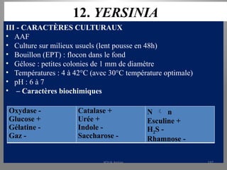 12. YERSINIA
III - CARACTÈRES CULTURAUX
• AAF
• Culture sur milieux usuels (lent pousse en 48h)
• Bouillon (EPT) : flocon dans le fond
• Gélose : petites colonies de 1 mm de diamètre
• Températures : 4 à 42°C (avec 30°C température optimale)
• pH : 6 à 7
• – Caractères biochimiques
Oxydase -
Glucose +
Gélatine -
Gaz -
Catalase +
Urée +
Indole -
Saccharose -
N  n
Esculine +
H2S -
Rhamnose -
KOUA Amian 197
 