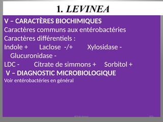 1. LEVINEA
V – CARACTÈRES BIOCHIMIQUES
Caractères communs aux entérobactéries
Caractères différentiels :
Indole + Laclose -/+ Xylosidase -
Glucuronidase -
LDC - Citrate de simmons + Sorbitol +
V – DIAGNOSTIC MICROBIOLOGIQUE
Voir entérobactéries en général
KOUA Amian 203
 