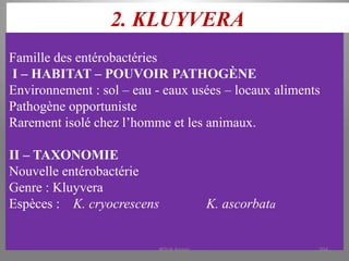 2. KLUYVERA
Famille des entérobactéries
I – HABITAT – POUVOIR PATHOGÈNE
Environnement : sol – eau - eaux usées – locaux aliments
Pathogène opportuniste
Rarement isolé chez l’homme et les animaux.
II – TAXONOMIE
Nouvelle entérobactérie
Genre : Kluyvera
Espèces : K. cryocrescens K. ascorbata
KOUA Amian 204
 
