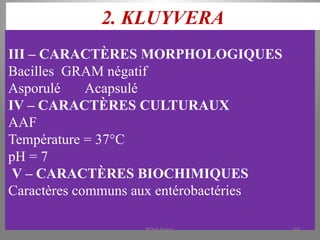2. KLUYVERA
III – CARACTÈRES MORPHOLOGIQUES
Bacilles GRAM négatif
Asporulé Acapsulé
IV – CARACTÈRES CULTURAUX
AAF
Température = 37°C
pH = 7
V – CARACTÈRES BIOCHIMIQUES
Caractères communs aux entérobactéries
KOUA Amian 205
 