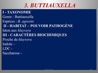 3. BUTTIAUXELLA
I - TAXONOMIE
Genre : Buttiauxella
Espèces : B. agrestis
II - HABITAT – POUVOIR PATHOGÈNE
Idem aux kluyvera
III - CARACTÈRES BIOCHIMIQUES
Proche de kluyvera
Indole –
LDC -
Saccharose -
KOUA Amian 207
 