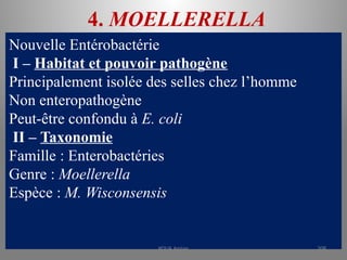 4. MOELLERELLA
Nouvelle Entérobactérie
I – Habitat et pouvoir pathogène
Principalement isolée des selles chez l’homme
Non enteropathogène
Peut-être confondu à E. coli
II – Taxonomie
Famille : Enterobactéries
Genre : Moellerella
Espèce : M. Wisconsensis
KOUA Amian 208
 