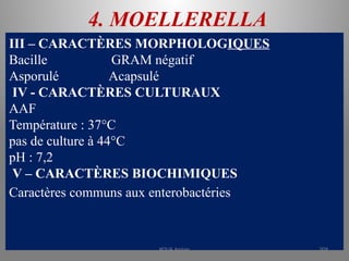 4. MOELLERELLA
III – CARACTÈRES MORPHOLOGIQUES
Bacille GRAM négatif
Asporulé Acapsulé
IV - CARACTÈRES CULTURAUX
AAF
Température : 37°C
pas de culture à 44°C
pH : 7,2
V – CARACTÈRES BIOCHIMIQUES
Caractères communs aux enterobactéries
KOUA Amian 209
 