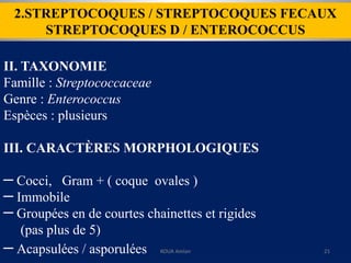 2.STREPTOCOQUES / STREPTOCOQUES FECAUX
STREPTOCOQUES D / ENTEROCOCCUS
II. TAXONOMIE
Famille : Streptococcaceae
Genre : Enterococcus
Espèces : plusieurs
III. CARACTÈRES MORPHOLOGIQUES
─ Cocci, Gram + ( coque ovales )
─ Immobile
─ Groupées en de courtes chainettes et rigides
(pas plus de 5)
─ Acapsulées / asporulées KOUA Amian 21
 