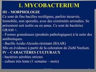 1. MYCOBACTERIUM
III – MORPHOLOGIE
Ce sont de fins bacilles rectilignes, parfois incurvés.
Immobile, non sporulés, avec des extrémités arrondies. Se
présentent soit isolés ou en amas. Ce sont de bactéries
GRAM +.
- Formes granuleuses (produits pathologiques) à la suite des
antibiotiques.
- Bacille Acido-Alcoolo-résistant (BAAR)
Mis en évidence à partir de la coloration de Ziehl Neelsen.
IV – CARACTÈRES CULTURAUX
- bactéries aérobies strictes
- culture très lente (1 semaine – mois)
KOUA Amian 215
 