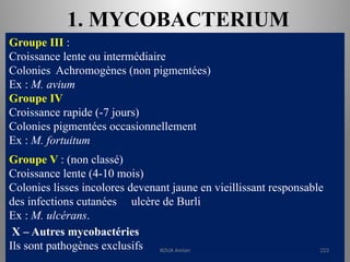 1. MYCOBACTERIUM
Groupe III :
Croissance lente ou intermédiaire
Colonies Achromogènes (non pigmentées)
Ex : M. avium
Groupe IV
Croissance rapide (-7 jours)
Colonies pigmentées occasionnellement
Ex : M. fortuitum
Groupe V : (non classé)
Croissance lente (4-10 mois)
Colonies lisses incolores devenant jaune en vieillissant responsable
des infections cutanées ulcère de Burli
Ex : M. ulcérans.
X – Autres mycobactéries
Ils sont pathogènes exclusifs KOUA Amian 223
 