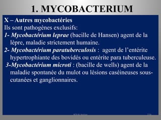 1. MYCOBACTERIUM
X – Autres mycobactéries
Ils sont pathogènes exclusifs:
1- Mycobactérium leprae (bacille de Hansen) agent de la
lèpre, maladie strictement humaine.
2- Mycobactérium paratuberculosis : agent de l’entérite
hypertrophiante des bovidés ou entérite para tuberculeuse.
3-Mycobactérium microti : (bacille de wells) agent de la
maladie spontanée du mulot ou lésions caséineuses sous-
cutanées et ganglionnaires.
KOUA Amian 224
 