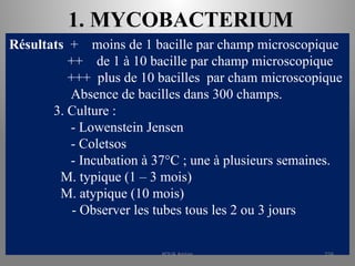 1. MYCOBACTERIUM
Résultats + moins de 1 bacille par champ microscopique
++ de 1 à 10 bacille par champ microscopique
+++ plus de 10 bacilles par cham microscopique
Absence de bacilles dans 300 champs.
3. Culture :
- Lowenstein Jensen
- Coletsos
- Incubation à 37°C ; une à plusieurs semaines.
M. typique (1 – 3 mois)
M. atypique (10 mois)
- Observer les tubes tous les 2 ou 3 jours
KOUA Amian 226
 