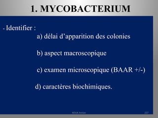 1. MYCOBACTERIUM
- Identifier :
a) délai d’apparition des colonies
b) aspect macroscopique
c) examen microscopique (BAAR +/-)
d) caractères biochimiques.
KOUA Amian 227
 