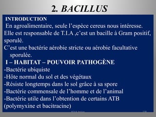 2. BACILLUS
INTRODUCTION
En agroalimentaire, seule l’espèce cereus nous intéresse.
Elle est responsable de T.I.A ,c’est un bacille à Gram positif,
sporulé.
C’est une bactérie aérobie stricte ou aérobie facultative
sporulée.
I – HABITAT – POUVOIR PATHOGÈNE
-Bactérie ubiquiste
-Hôte normal du sol et des végétaux
-Résiste longtemps dans le sol grâce à sa spore
-Bactérie commensale de l’homme et de l’animal
-Bactérie utile dans l’obtention de certains ATB
(polymyxine et bacitracine)
KOUA Amian 238
 