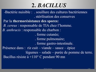 2. BACILLUS
-Bactérie nuisible : . souillure des cultures bactériennes
. stérilisation des conserves
Par la thermorésistance des spores:
B. cereus : responsable de TIA chez l’homme.
B. anthracis : responsable du charbon :
. forme cutanée;
. forme pulmonaire;
. forme gastro-intestinale.
Présence dans : riz cuit – viande – sauce – épice
légumes – salade – purée de pomme de terre.
Bacillus résiste à +110° C pendant 90 mn
KOUA Amian 239
 