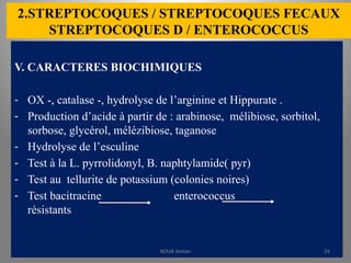 2.STREPTOCOQUES / STREPTOCOQUES FECAUX
STREPTOCOQUES D / ENTEROCOCCUS
V. CARACTERES BIOCHIMIQUES
- OX -, catalase -, hydrolyse de l’arginine et Hippurate .
- Production d’acide à partir de : arabinose, mélibiose, sorbitol,
sorbose, glycérol, mélézibiose, taganose
- Hydrolyse de l’esculine
- Test à la L. pyrrolidonyl, B. naphtylamide( pyr)
- Test au tellurite de potassium (colonies noires)
- Test bacitracine enterococcus
résistants
KOUA Amian 24
 
