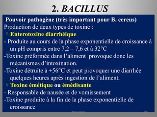 2. BACILLUS
Pouvoir pathogène (très important pour B. cereus)
Production de deux types de toxine :
Enterotoxine diarrhéique
- Produite au cours de la phase exponentielle de croissance à
un pH compris entre 7,2 – 7,6 et à 32°C
-Toxine préformée dans l’aliment provoque donc les
mécanismes d’intoxination.
-Toxine détruite à +56°C et peut provoquer une diarrhée
quelques heures après ingestion de l’aliment.
Toxine émétique ou émédisante
- Responsable de nausée et de vomissement
-Toxine produite à la fin de la phase exponentielle de
croissance
KOUA Amian 240
 