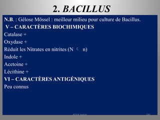 2. BACILLUS
N.B. : Gélose Mössel : meilleur milieu pour culture de Bacillus.
V – CARACTÈRES BIOCHIMIQUES
Catalase +
Oxydase +
Réduit les Nitrates en nitrites (N  n)
Indole +
Acetoine +
Lécithine +
VI – CARACTÈRES ANTIGÉNIQUES
Peu connus
KOUA Amian 245
 