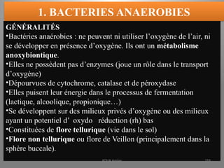 1. BACTERIES ANAEROBIES
GÉNÉRALITÉS
•Bactéries anaérobies : ne peuvent ni utiliser l’oxygène de l’air, ni
se développer en présence d’oxygène. Ils ont un métabolisme
anoxybiontique.
•Elles ne possèdent pas d’enzymes (joue un rôle dans le transport
d’oxygène)
•Dépourvues de cytochrome, catalase et de péroxydase
•Elles puisent leur énergie dans le processus de fermentation
(lactique, alcoolique, propionique…)
•Se développent sur des milieux privés d’oxygène ou des milieux
ayant un potentiel d’ oxydo réduction (rh) bas
•Constituées de flore tellurique (vie dans le sol)
•Flore non tellurique ou flore de Veillon (principalement dans la
sphère buccale).
KOUA Amian 259
 