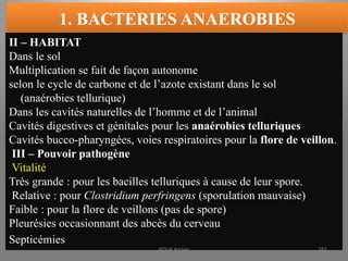 1. BACTERIES ANAEROBIES
II – HABITAT
Dans le sol
Multiplication se fait de façon autonome
selon le cycle de carbone et de l’azote existant dans le sol
(anaérobies tellurique)
Dans les cavités naturelles de l’homme et de l’animal
Cavités digestives et génitales pour les anaérobies telluriques
Cavités bucco-pharyngées, voies respiratoires pour la flore de veillon.
III – Pouvoir pathogène
Vitalité
Très grande : pour les bacilles telluriques à cause de leur spore.
Relative : pour Clostridium perfringens (sporulation mauvaise)
Faible : pour la flore de veillons (pas de spore)
Pleurésies occasionnant des abcès du cerveau
Septicémies
KOUA Amian 261
 