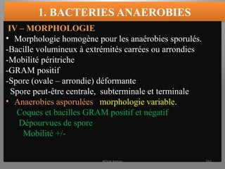1. BACTERIES ANAEROBIES
IV – MORPHOLOGIE
• Morphologie homogène pour les anaérobies sporulés.
-Bacille volumineux à extrémités carrées ou arrondies
-Mobilité péritriche
-GRAM positif
-Spore (ovale – arrondie) déformante
Spore peut-être centrale, subterminale et terminale
• Anaerobies asporulées morphologie variable.
Coques et bacilles GRAM positif et négatif
Dépourvues de spore
Mobilité +/-
KOUA Amian 263
 