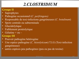 2.CLOSTRIDIUM
Groupe II
• Saprophytes
• Pathogène occasionnel (C. perfringens)
• Responsable de toxi-infections gangréneuses (C. botulinum)
• Spore centrale ou subterminale
• Glucidolytique
• Faiblement protéolytique
• Gélatine + ou –
Groupe III
• Pouvoir pathogène hétérogène
• Une espèce pathogène (C. histolyticum) T.I.G (Toxi-infection
gangrèneuse)
• autres espèces peu pathogènes (peu ou pas de toxine)
KOUA Amian 269
 