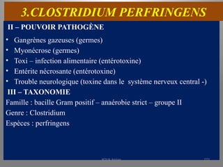 3.CLOSTRIDIUM PERFRINGENS
II – POUVOIR PATHOGÈNE
• Gangrènes gazeuses (germes)
• Myonécrose (germes)
• Toxi – infection alimentaire (entérotoxine)
• Entérite nécrosante (entérotoxine)
• Trouble neurologique (toxine dans le système nerveux central -)
III – TAXONOMIE
Famille : bacille Gram positif – anaérobie strict – groupe II
Genre : Clostridium
Espèces : perfringens
KOUA Amian 272
 