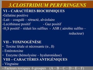 3.CLOSTRIDIUM PERFRINGENS
VI – CARACTÈRES BIOCHIMIQUES
-Gélatine positive
-Lait – coagulé – rétracté, alvéolaire
-Lecithinase positif - Gaz positif
-H2S positif – réduit les sulfites - ASR ( aérobie sulfito –
reducteur)
VII – TOXINOGÉNÈSE
- Toxine létale et nécrosante (α , ß)
- Entérotoxine
- Enzyme (hémolysine – hyaluronidase)
VIII – CARACTÈRES ANTIGÉNIQUES
- Vingtaine
- Facteurs toxiques 6 groupes (A – B – C – D – E – F)
KOUA Amian 274
 