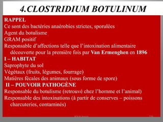 4.CLOSTRIDIUM BOTULINUM
RAPPEL
Ce sont des bactéries anaérobies strictes, sporulées
Agent du botulisme
GRAM positif
Responsable d’affections telle que l’intoxination alimentaire
découverte pour la première fois par Van Ermenghen en 1896
I – HABITAT
Saprophyte du sol
Végétaux (fruits, légumes, fourrage)
Matières fécales des animaux (sous forme de spore)
II – POUVOIR PATHOGÈNE
Responsable du botulisme (retrouvé chez l’homme et l’animal)
Responsable des intoxinations (à partir de conserves – poissons
charcuteries, contaminés)
KOUA Amian 276
 