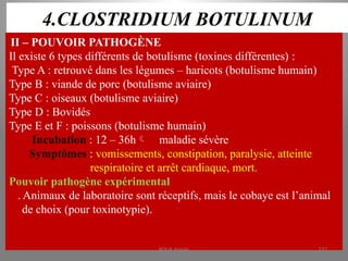 4.CLOSTRIDIUM BOTULINUM
II – POUVOIR PATHOGÈNE
Il existe 6 types différents de botulisme (toxines différentes) :
Type A : retrouvé dans les légumes – haricots (botulisme humain)
Type B : viande de porc (botulisme aviaire)
Type C : oiseaux (botulisme aviaire)
Type D : Bovidés
Type E et F : poissons (botulisme humain)
Incubation : 12 – 36h maladie sévère
Symptômes : vomissements, constipation, paralysie, atteinte
respiratoire et arrêt cardiaque, mort.
Pouvoir pathogène expérimental
. Animaux de laboratoire sont réceptifs, mais le cobaye est l’animal
de choix (pour toxinotypie).
KOUA Amian 277
 