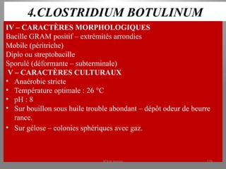4.CLOSTRIDIUM BOTULINUM
IV – CARACTÈRES MORPHOLOGIQUES
Bacille GRAM positif – extrémités arrondies
Mobile (péritriche)
Diplo ou streptobacille
Sporulé (déformante – subterminale)
V – CARACTÈRES CULTURAUX
• Anaérobie stricte
• Température optimale : 26 °C
• pH : 8
• Sur bouillon sous huile trouble abondant – dépôt odeur de beurre
rance.
• Sur gélose – colonies sphériques avec gaz.
KOUA Amian 279
 